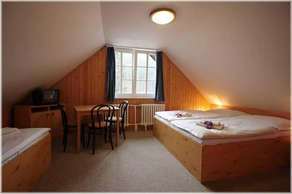 Photo 3 of Hotel U Tří růží